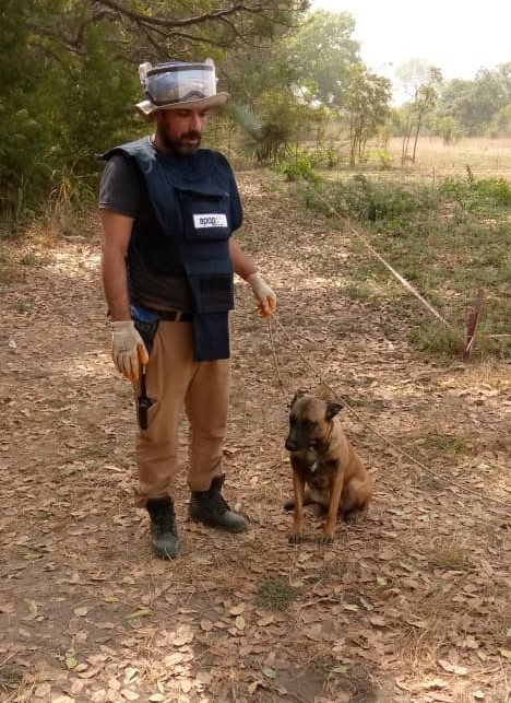 Le Centre National d’Action Antimines au Sénégal (CNAMS) a procédé, le 24 janvier 2024, à l’évaluation opérationnelle de quatre (04) chiens détecteurs d’explosifs de mines